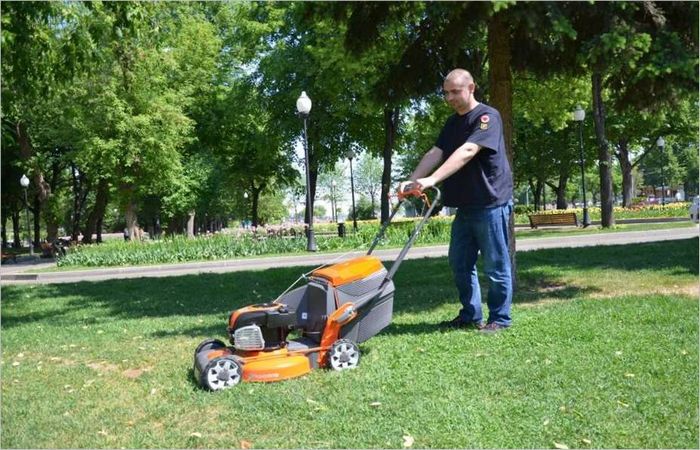 Tecnologia di giardinaggio