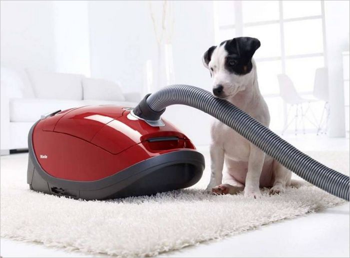 Aspirapolvere per animale domesticizoopylessy_1