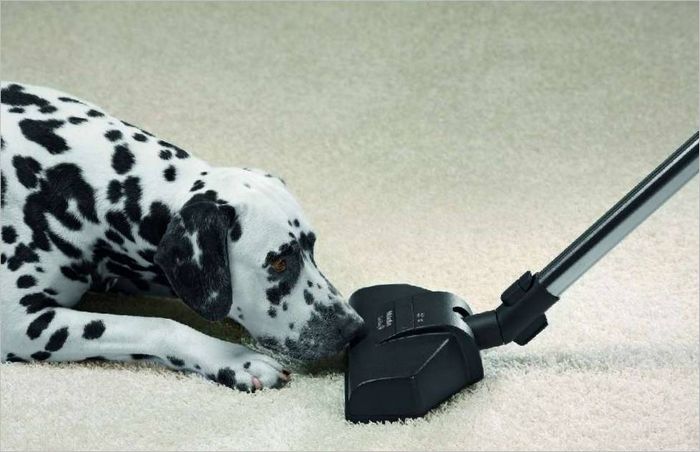 Aspirapolvere per animale domesticizoopylessy_4