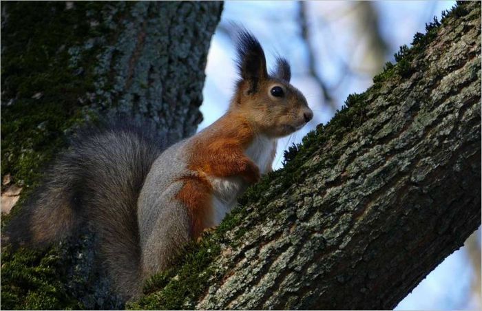 Attrezzatura fotografica