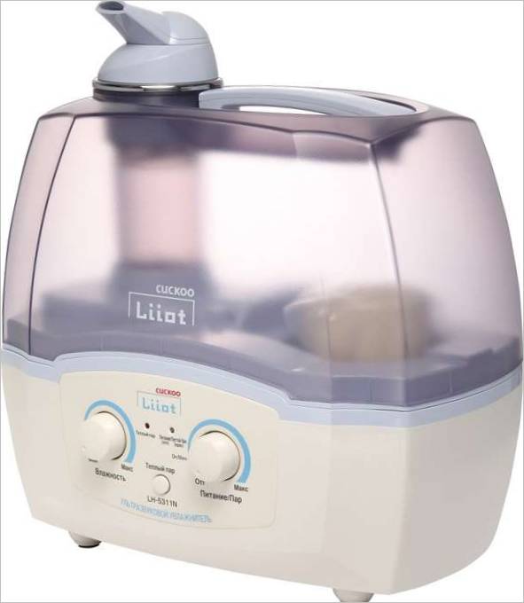 Cucù