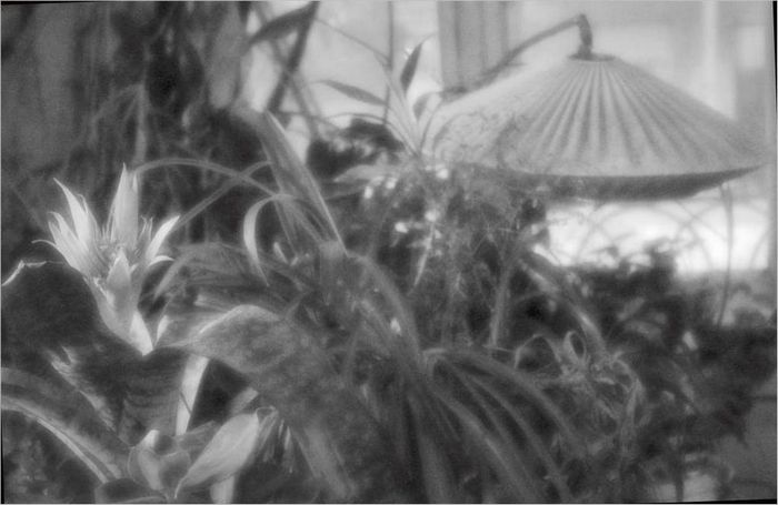 Attrezzatura fotografica