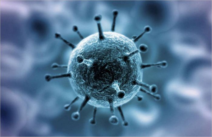 coronavirus coronavirus