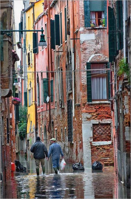 Venezia
