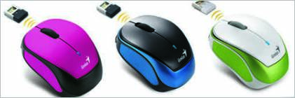 Mouse