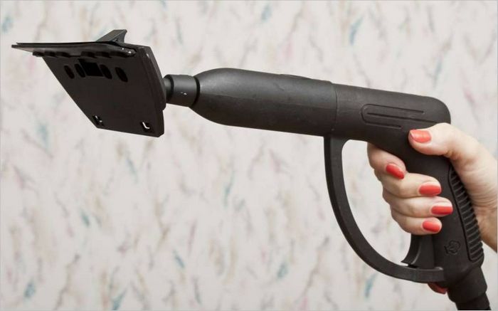 Pulitori a vapore