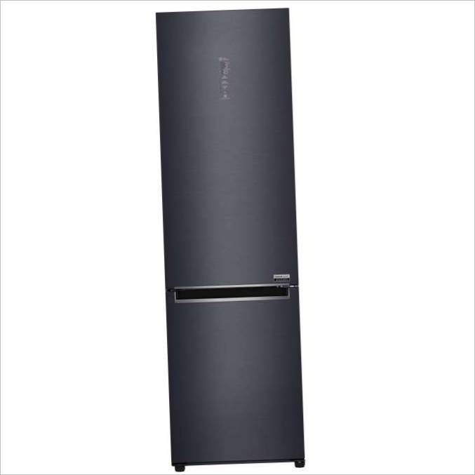 /LG_Centum_Refrigerator_Matte_Black /LG_Centum_Refrigerator_Matte_Black