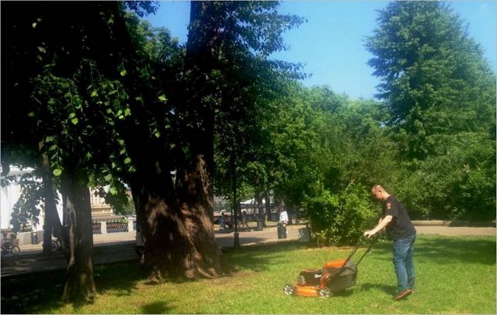 Macchine per il giardinaggio
