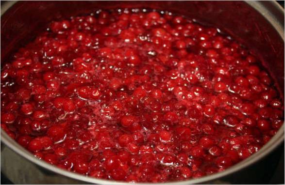 Marmellata di mirtilli rossi
