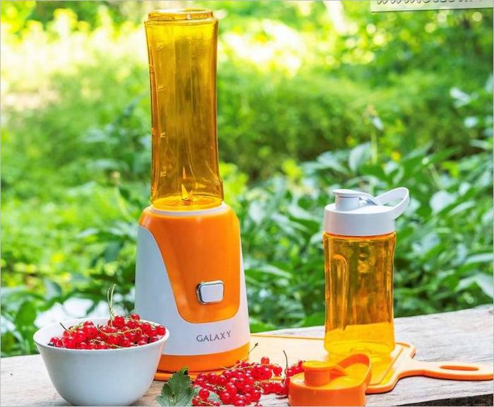 Frullatore fitness Galaxy Frullatore fitness Galaxy
