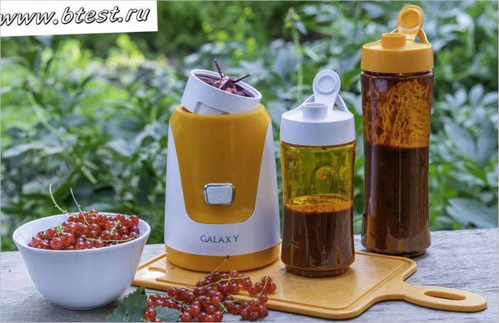 fitness - un frullatore Galaxy GL2150 Il frullatore fitness Galaxy GL2150