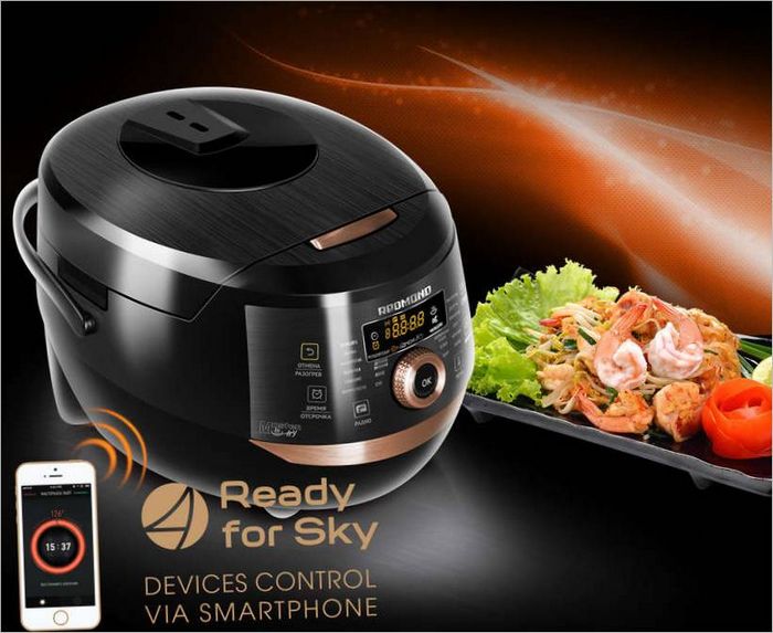 redmond multi-cooker