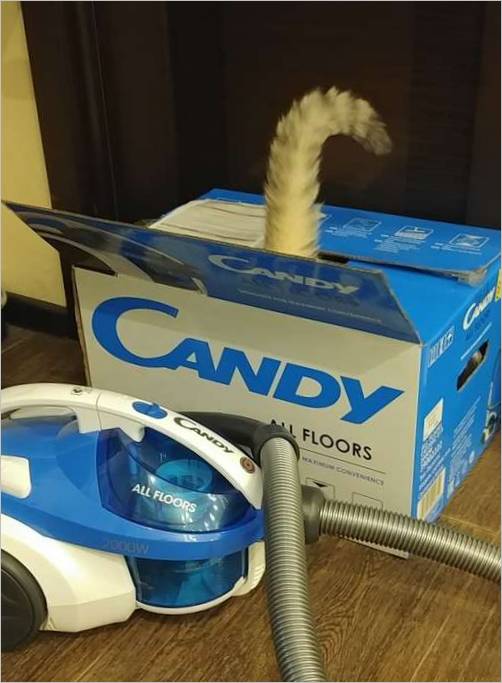 caramelle e coda caramelle