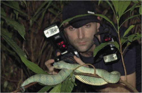 Fotografia di serpenti